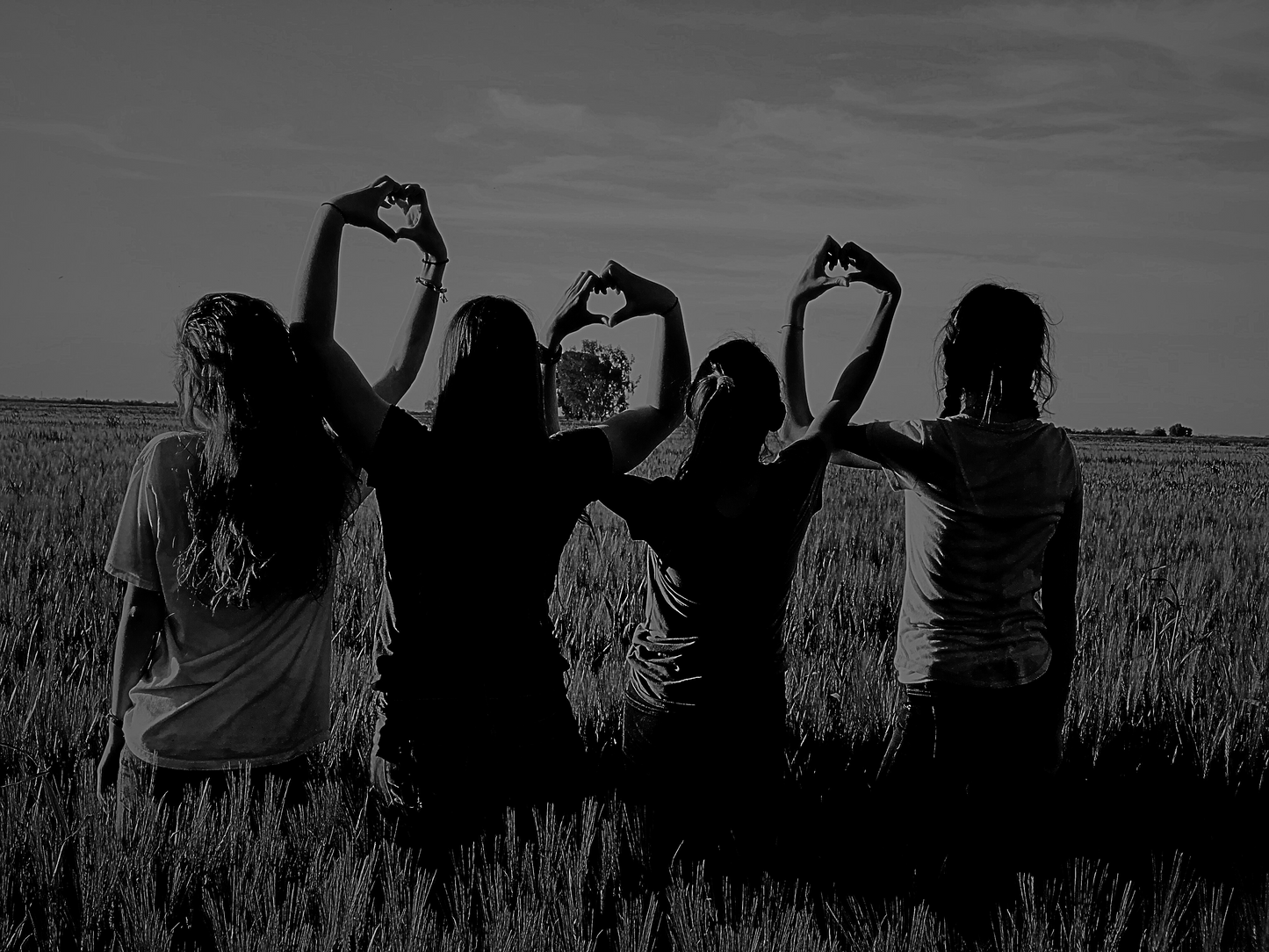 Phoenix Home Cleaning uses non-toxic, eco-friendly cleaning products to help our clients in Phoenix, Scottsdale, Paradise Valley, Cave Creek, Fountain Hills, and more live safe and healthier lives inside their homes. Give the gift of love in the form of the best house deep cleaning service in Paradise Valley today!